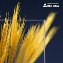 3.2mm karkaistu ultra kirkas float aurinkolasi